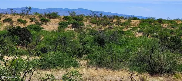 Elfrida, AZ 85610,Lot 116 Stetson Drive #-