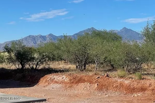 Rio Rico, AZ 85648,45 Avenida de las Naciones