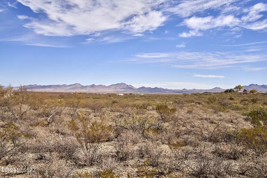 TBD W Bo Ma Trail #115, Portal, AZ 85632