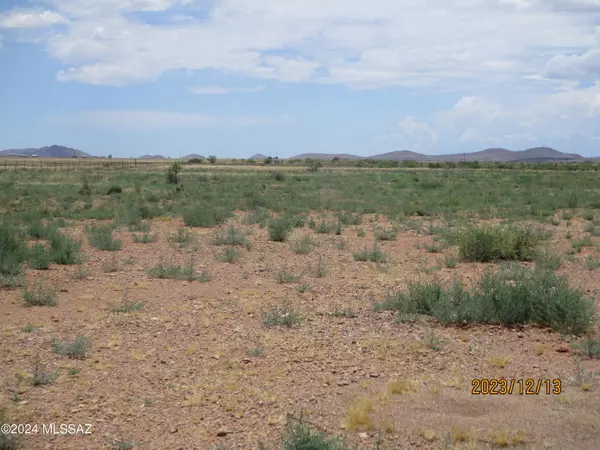 Willcox, AZ 85643,TBD E 80 ACRES PARKER RANCH Road