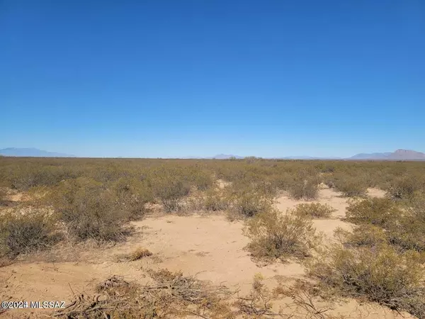 80 Acres on W Sellers Ranch Rd, San Simon, AZ 85632