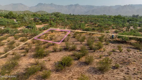 Tucson, AZ 85750,0 Prince Road