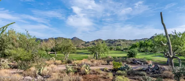 Oro Valley, AZ 85755,14311 N Giant Saguaro Place #27