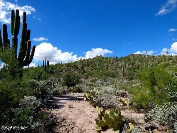 Tucson, AZ 85755,14215 N Gecko Canyon Trail