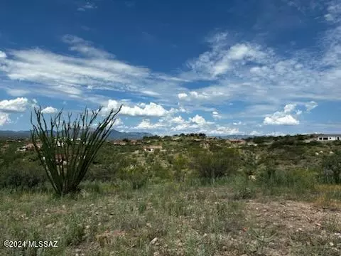 Rio Rico, AZ 85648,1052 Ameca Court #120