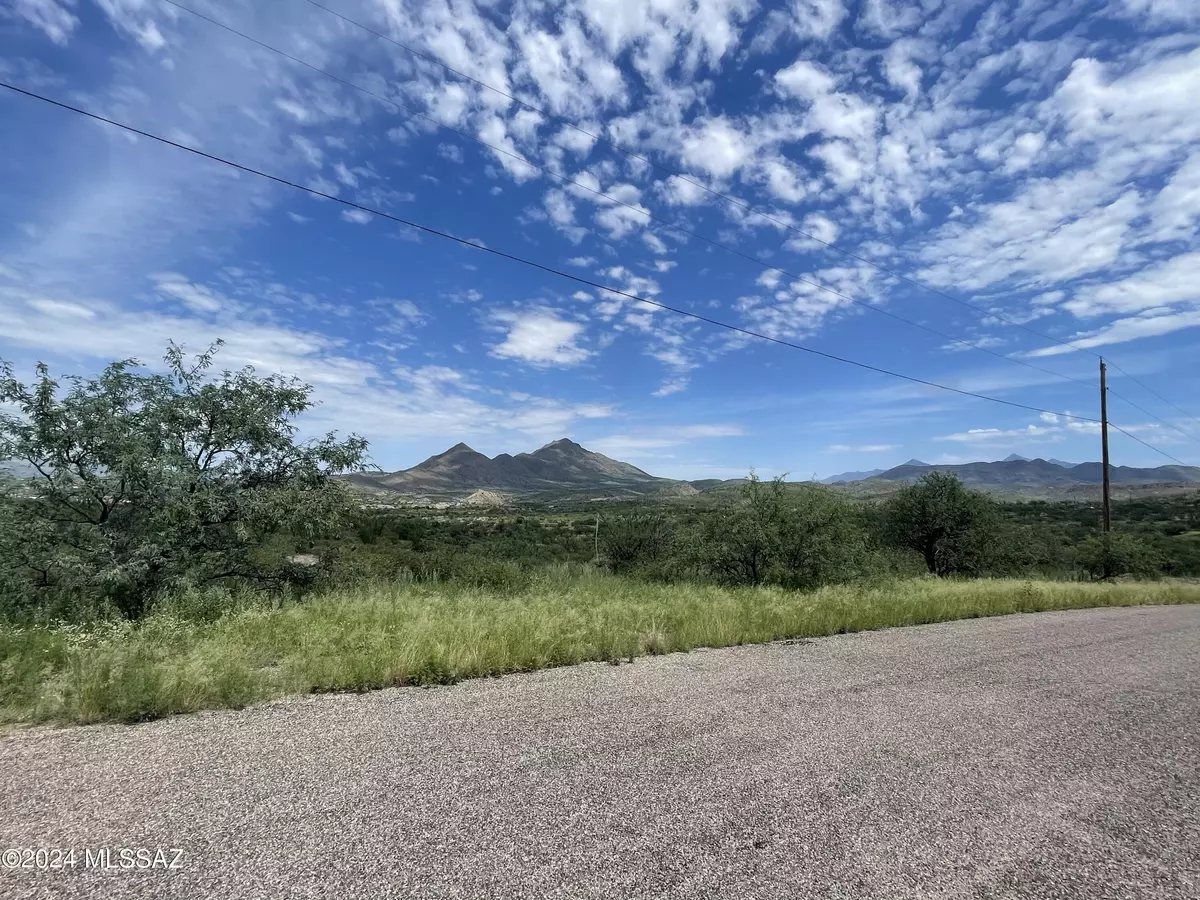 Rio Rico, AZ 85648,1159 Hebilla Court