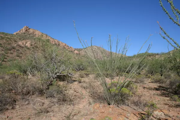 Tubac, AZ 85646,37 Copper Canyon Road #140