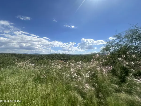 1161 Corrida De Toros, Rio Rico, AZ 85648