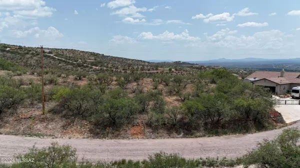 Rio Rico, AZ 85648,299 Camino Apolena  #81