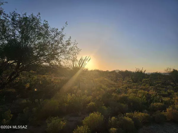 Tucson, AZ 85736,14907 S Carlsburg Avenue #203