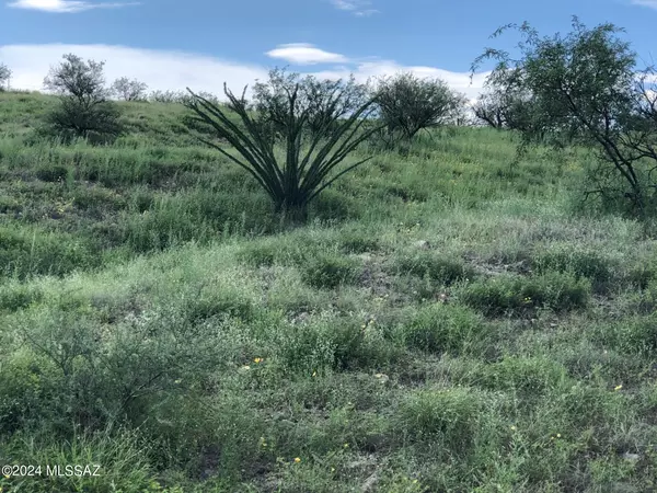 Amado, AZ 85645,TBD S Moyza Ranch Road