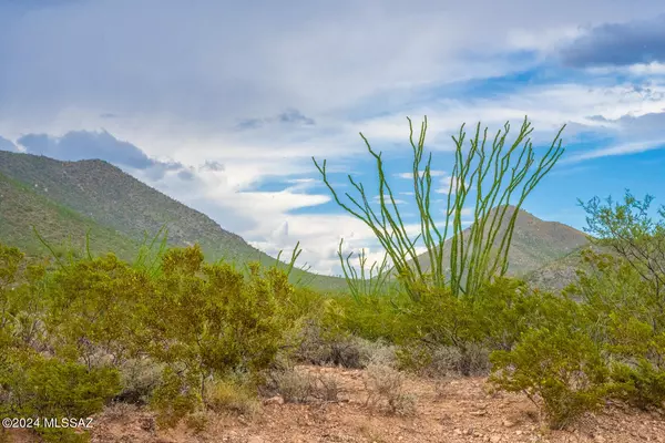 Elfrida, AZ 85610,62 Acres Ghost Town Trail #-