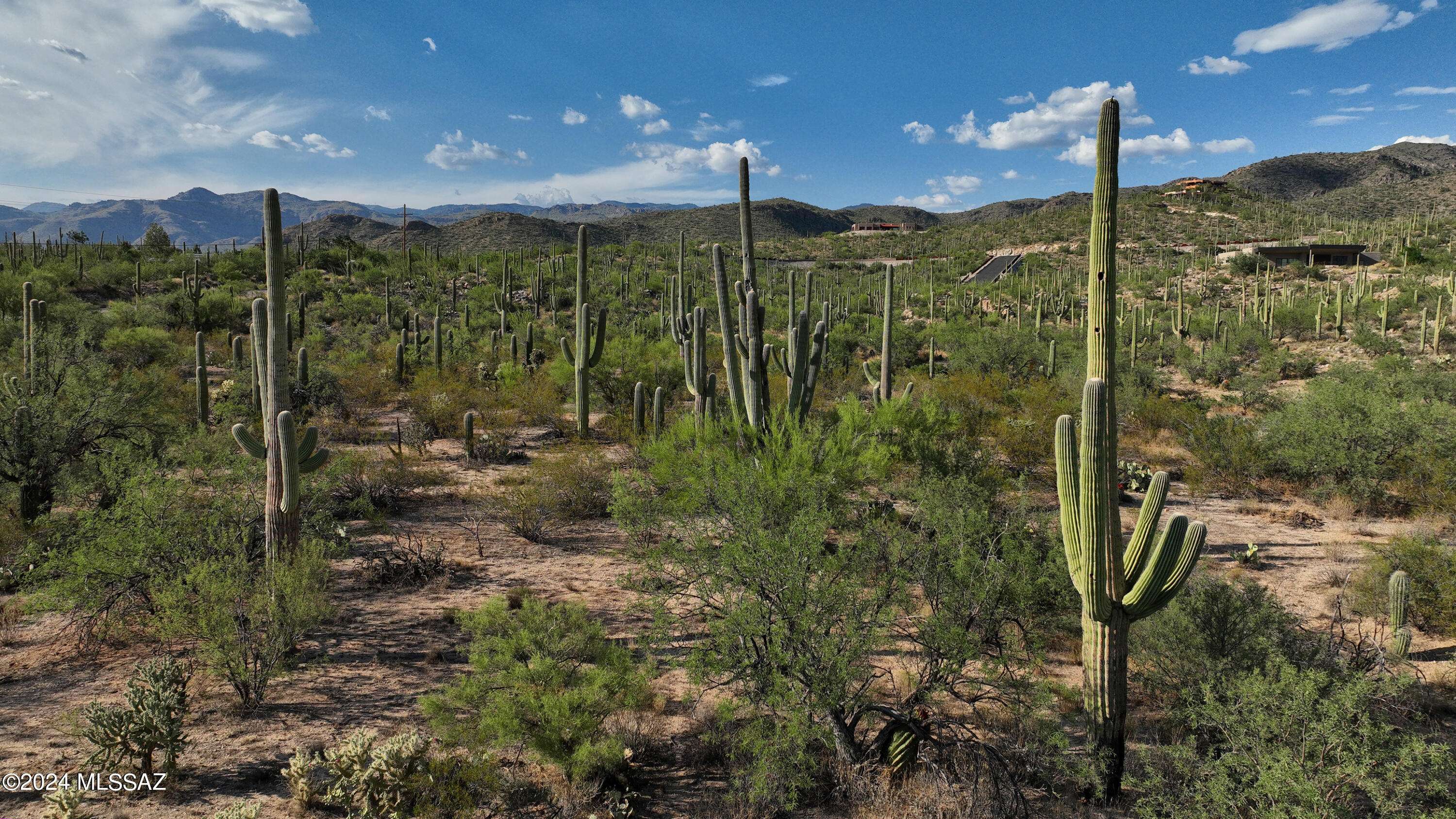 Tucson, AZ 85749,0000 Nido Del Aguila  #11-16