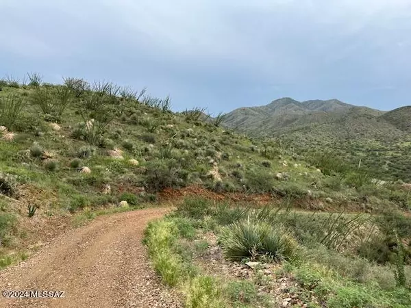 Vail, AZ 85641,S Goodenough Trail #Lot 1