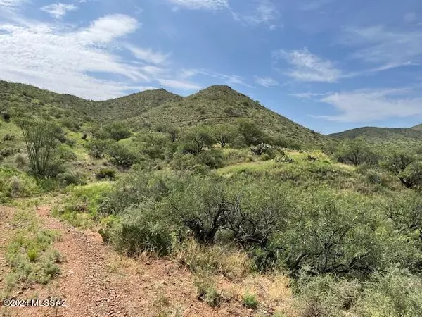 Vail, AZ 85641,S Goodenough Trail #Lot 2