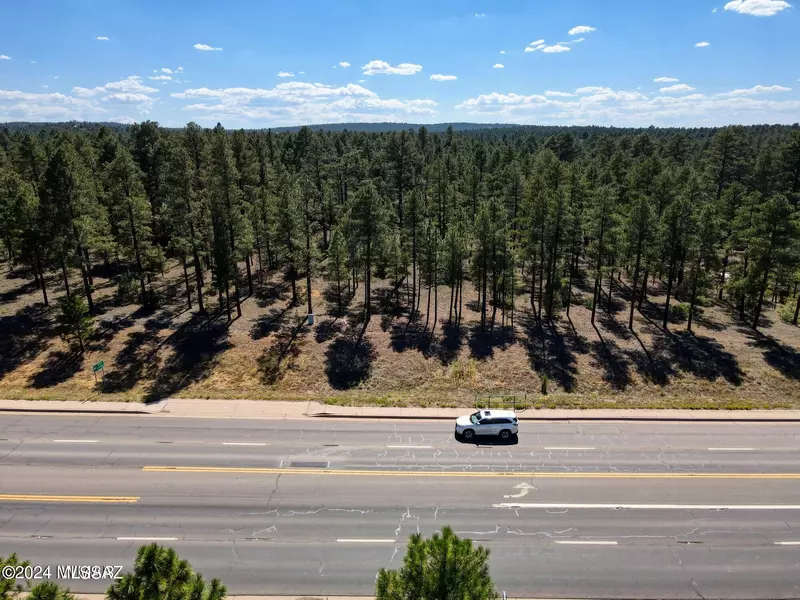 61 S Clark Road, Show Low, AZ 85901