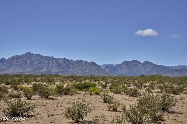 Portal, AZ 85632,TBD W Portal View  #19