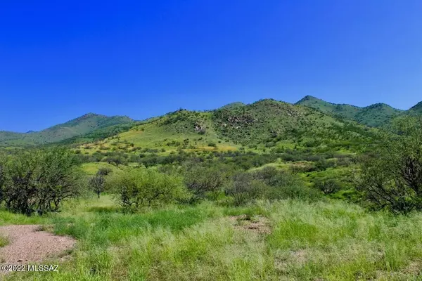 Rio Rico, AZ 85648,34 Muledeer Drive #110/3