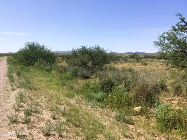 Willcox, AZ 85643,37.15AC S Warbonnet Road #15