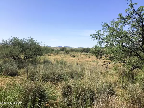 Willcox, AZ 85643,37.15AC S Warbonnet Road #15