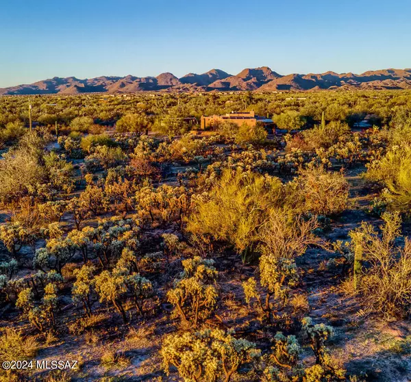 Tucson, AZ 85742,10700 N Paisano Avenue