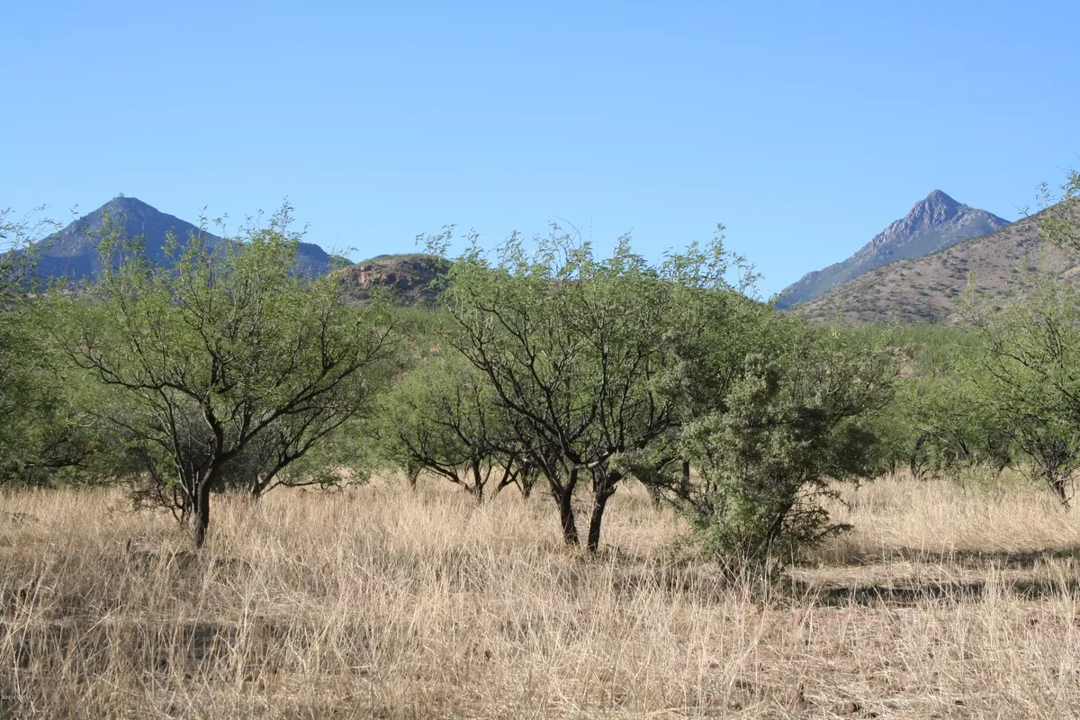 Tubac, AZ 85646,TBD Bond Canyon Road #63