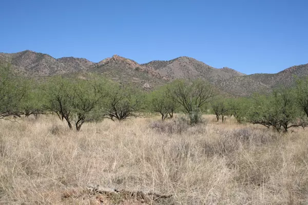 Tubac, AZ 85646,TBD Bond Canyon Road #63