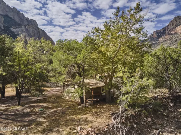 Portal, AZ 85632,1365 W Piedra Blanca Lane #n/a