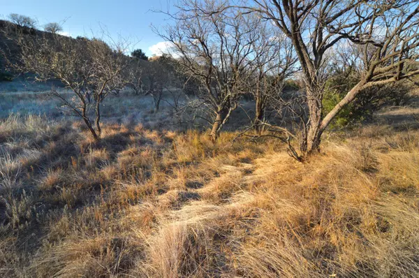 Lot 9 TangleHead Lane #., Patagonia, AZ 85624