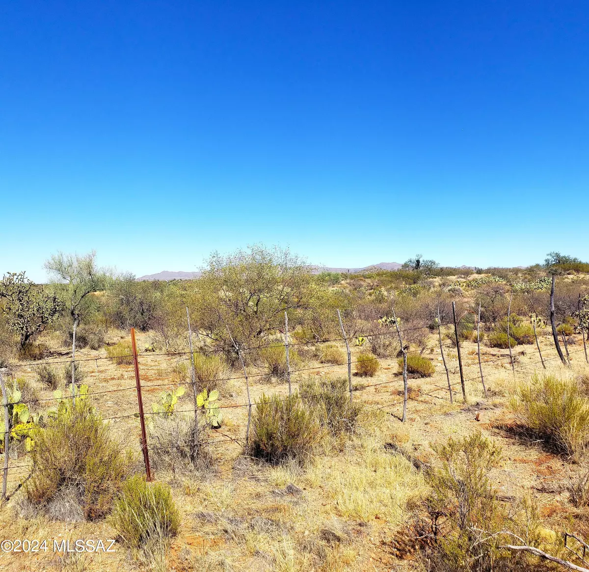 Saddlebrooke, AZ 85739,49300blk E Panther Butte Road