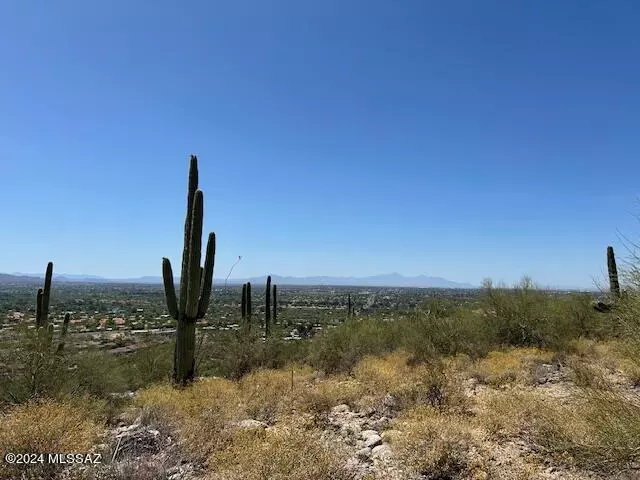 Tucson, AZ 85750,4160 N Painted Quail Place #81