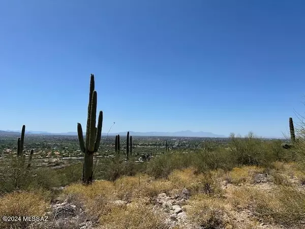 4160 N Painted Quail Place #81, Tucson, AZ 85750