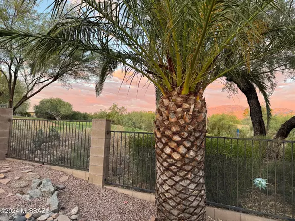 Oro Valley, AZ 85737,11530 N Palmetto Dunes Avenue