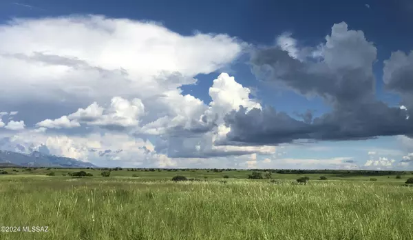 Patagonia, AZ 85624,TBD San Rafael Valley Road