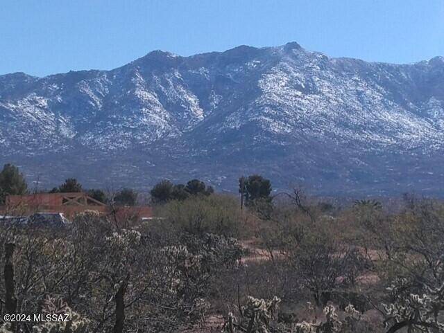 Catalina, AZ 85739,15437 N Twin Lakes Drive #A