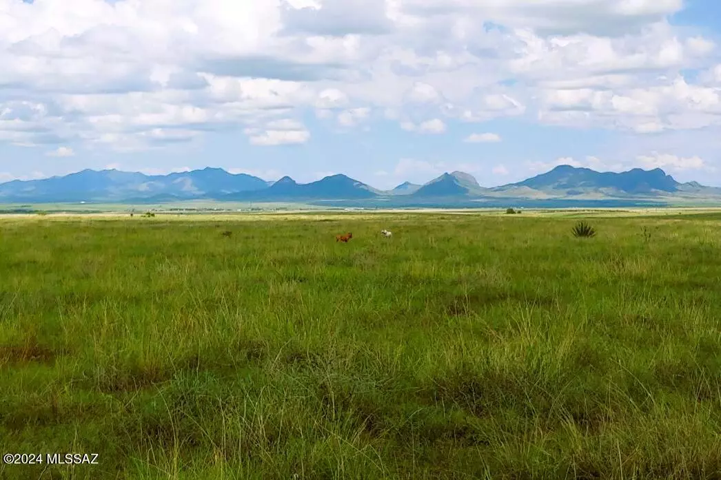 Sonoita, AZ 85637,Arizona State Highway 83