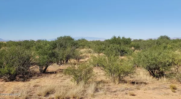 Cochise, AZ 85606,1 Lot W Allen Street #2