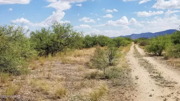 Cochise, AZ 85606,1 Lot W Birch Road #8