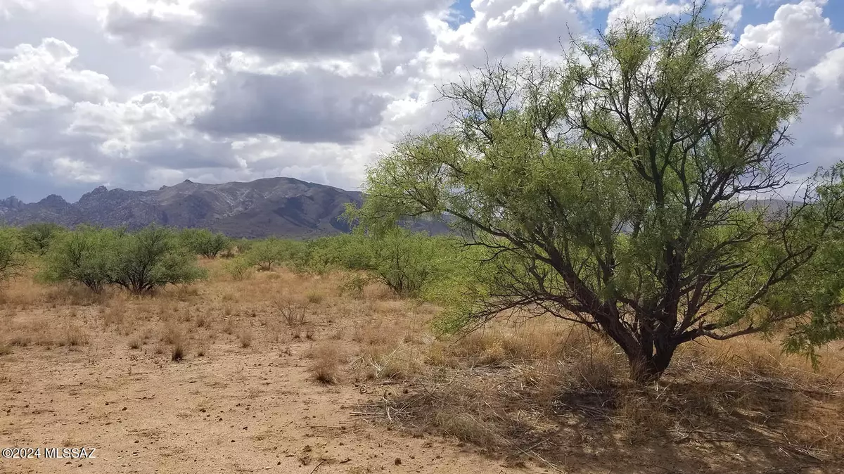 Cochise, AZ 85606,1 Acre W Birch Road #3