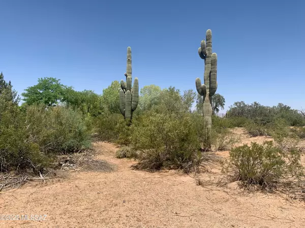 Marana, AZ 85653,TBD S Longhorn Trail