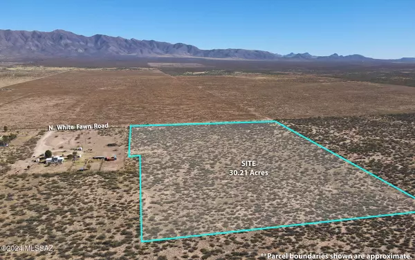 Elfrida, AZ 85610,30.2 AC N White Fawn Road #1&2