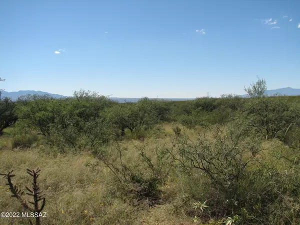 St. David, AZ 85630,Lot 223 N Cougar Trail #1