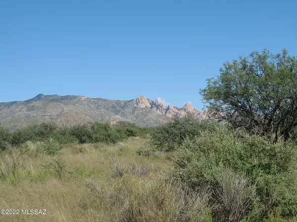 St. David, AZ 85630,Lot 223 N Cougar Trail #1