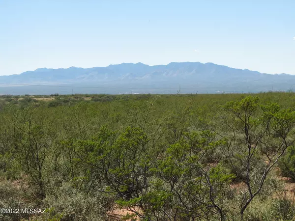 St. David, AZ 85630,Lot 223 N Cougar Trail #1