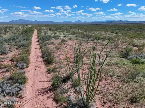 Bisbee, AZ 85603,0 E Border Road