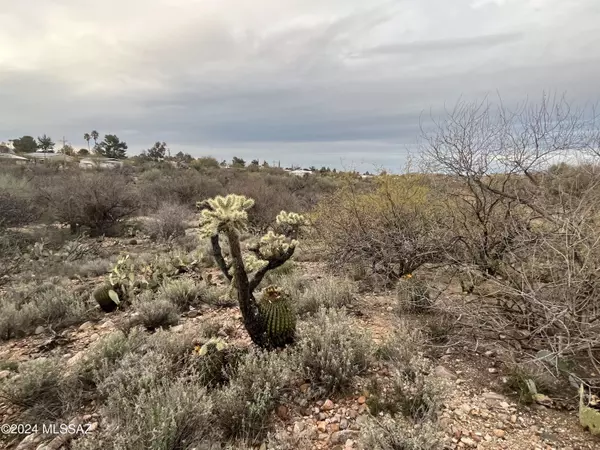 Tucson, AZ 85739,3345 E Swallowtail Lane