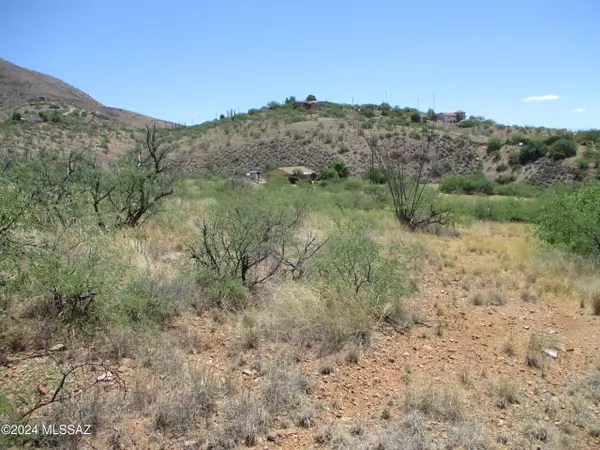 Rio Rico, AZ 85648,423 Camino Osito  #63