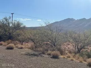 Rio Rico, AZ 85648,450 Via Melon