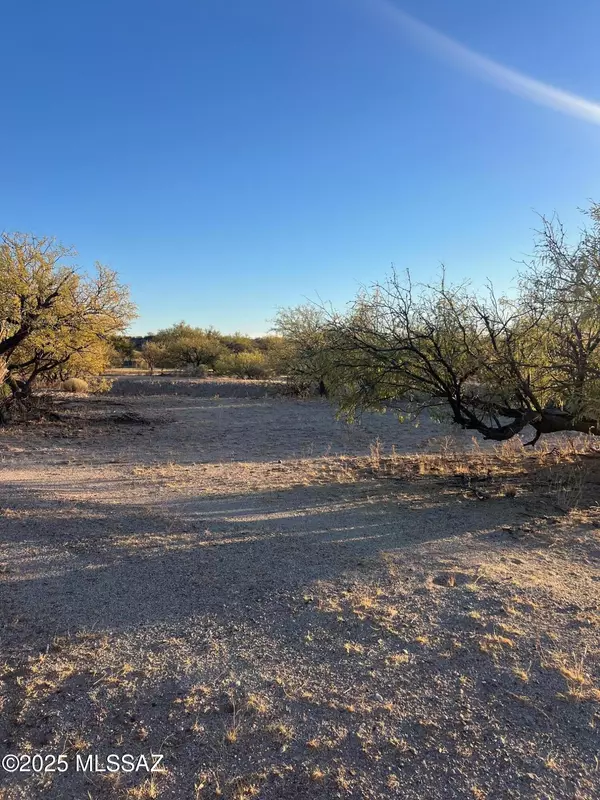 Benson, AZ 85602,5.29 AC N Cascabel Road