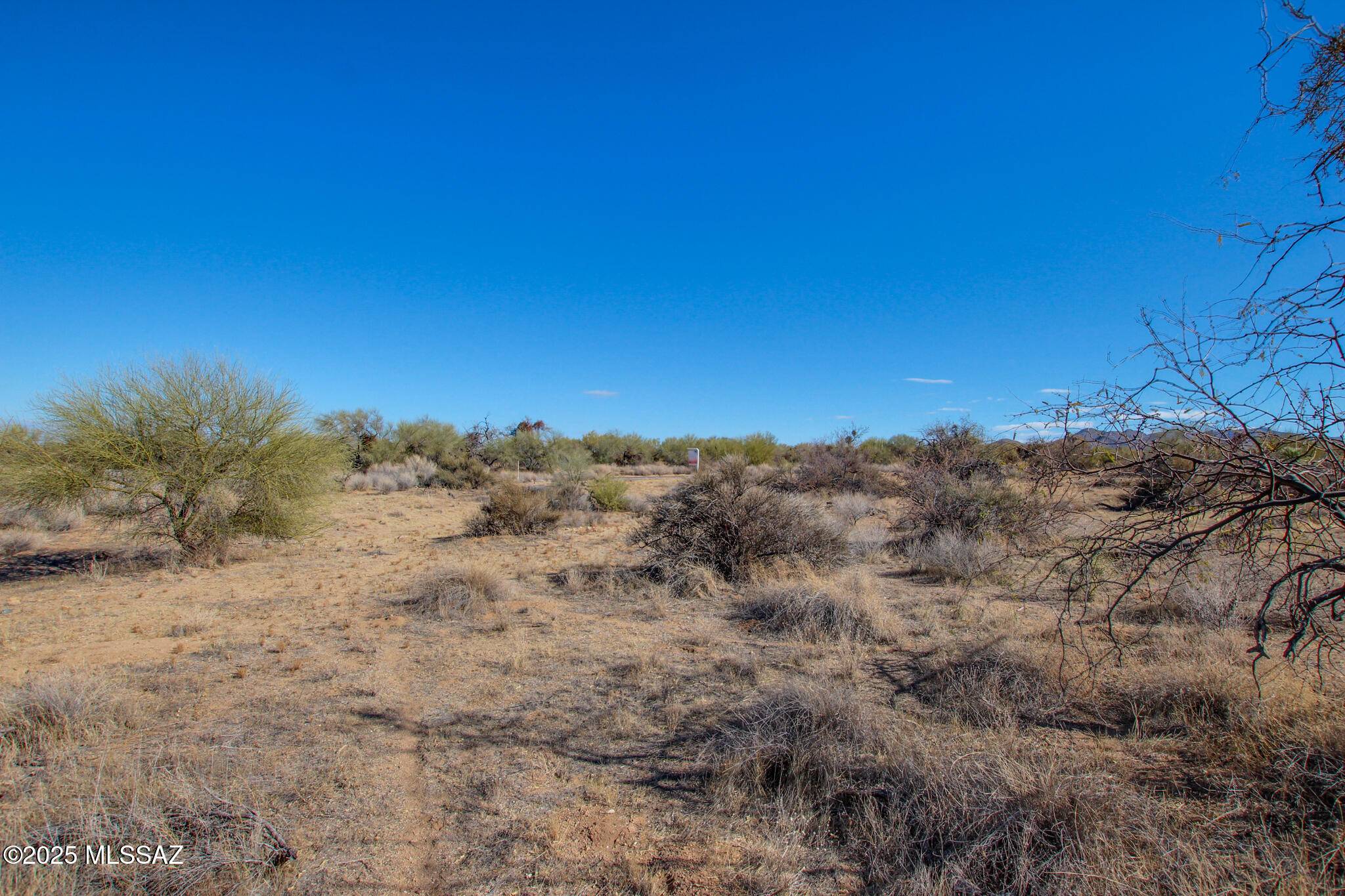 Tucson, AZ 85736,15949 W Diamond Bell Ranch Road #8